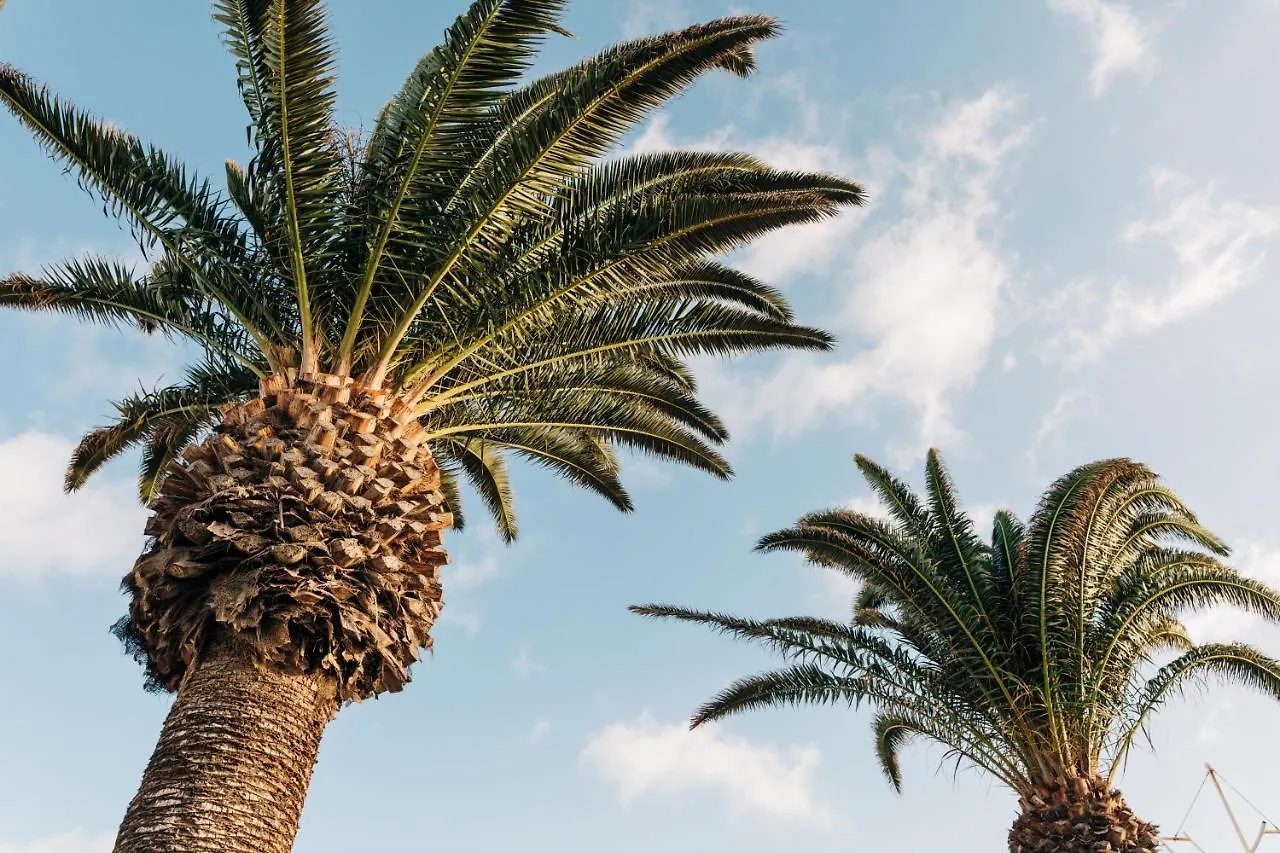 Сasa de vacaciones La Palmera - Fabulosa Casa, LANZAROTE, Playa Honda